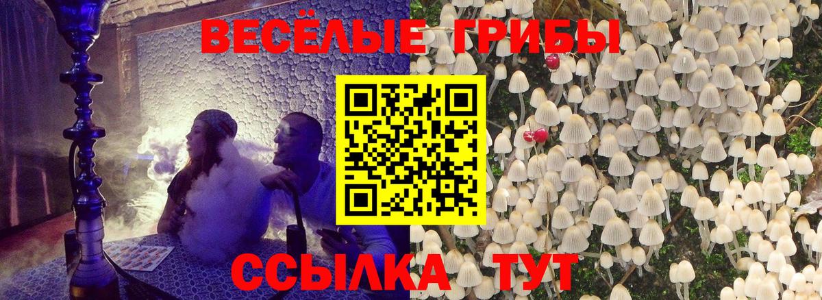 Урус-Мартан  Галлюциногенные грибы мухоморы  Вход с VPN 