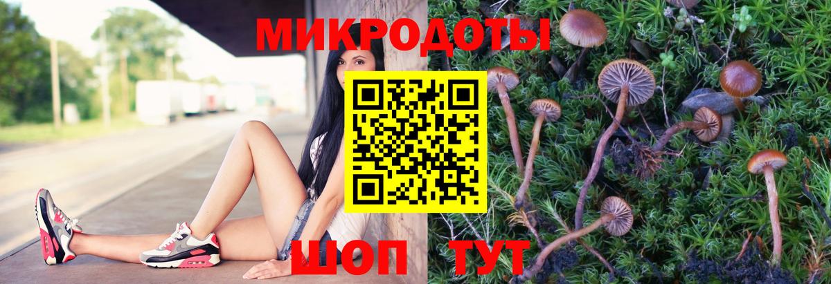 Псилоцибиновые грибы Psilocybine cubensis Урус-Мартан